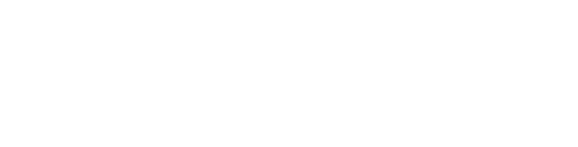AUTODESK Platinum Partner